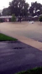 Water Damage Toronto Mold Removal