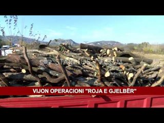 VIJON OPERACIONI "ROJA E GJELBËR"