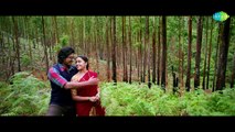 Maaveeran Kittu - Kannadikkala HD Video Song _ D.Imman _ Vishnu Vishal, Sri Divya