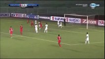 Singapore vs Indonesia 1-2 All Goals & Highlights HD 25.11.2016