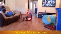 funny-animals-videos-funny-kids-kids-jokes-funny-videos - 10Youtube.com