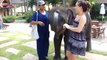 FUNNY ELEPHANTS 2016 ★ CUTE & FUNNY BABY ELEPHANTS [Trip Burger Pets] - YouTube