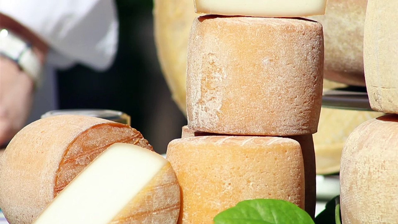 L'instant Pur Brebis Pyrénées - saison 2 - module 3