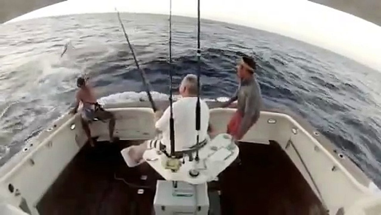 Big Game Fishing: 400 pound fish KO man