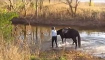 Ce cheval en panique découvre la rivière pour la première fois