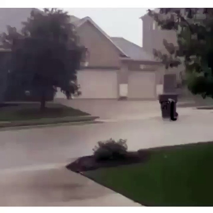 dustbin funny fails