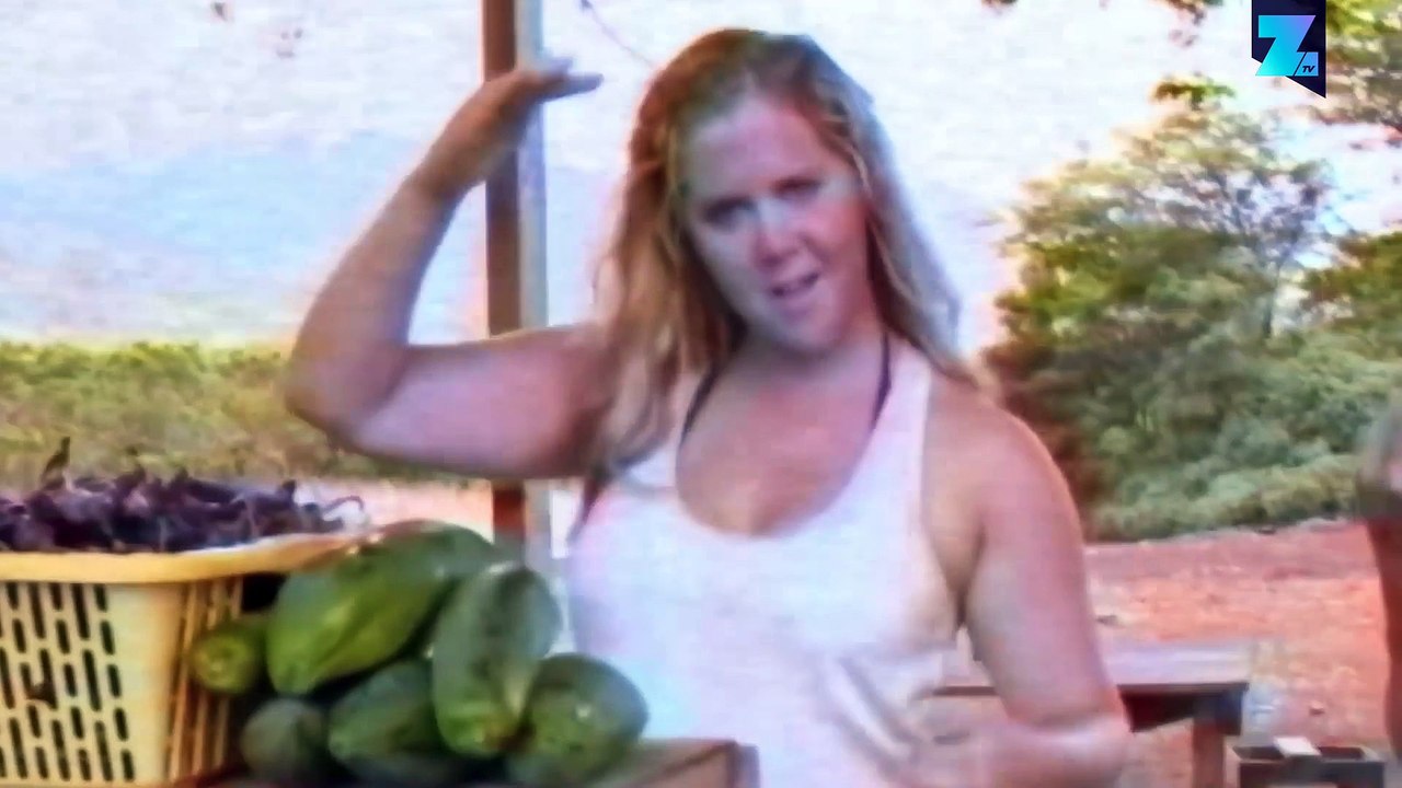 Has one of Amy Schumer's comedy sketches gone too far?