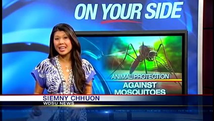 Disease carrying mosquitoes are a danger to animals