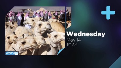 MERS, SARS, And Other Diseases We've Acquired From Animals