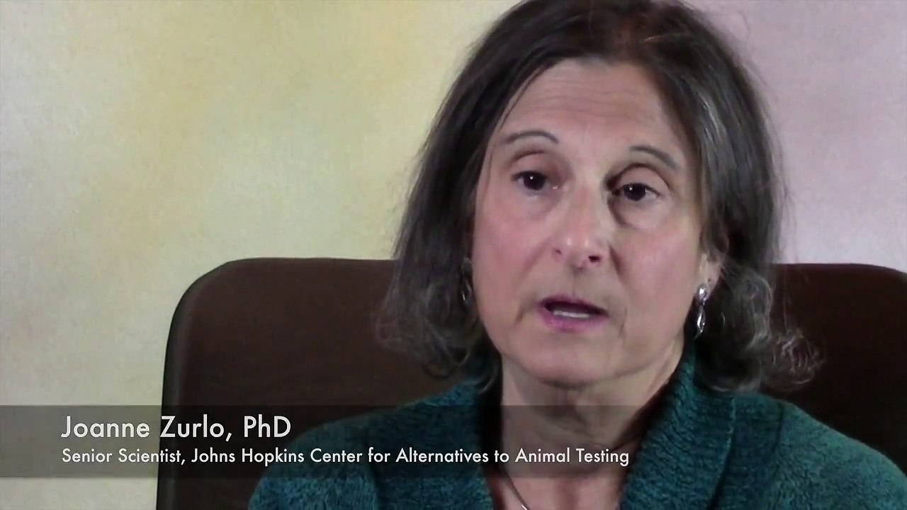 People & Perspectives: Joanne Zurlo - (Excerpt) Animals as Models for Human Disease