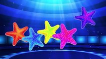 Animated STAR FISH Cartoon Finger Family Nursery Rhymes For Children