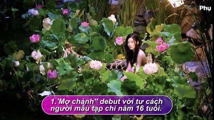 Những điều về “tiên cá” Jun Ji Hyun fan có thể chưa biết