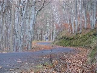 Essais loeb 2007