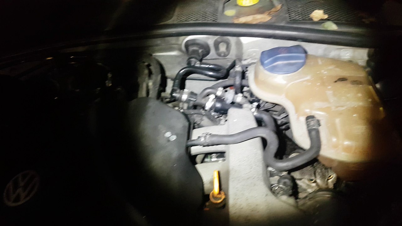 Passat bio chip tuning