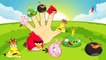 ANGRY BIRDS AND RIO Finger Family Cartoon Animation Nursery Rhymes For Children
