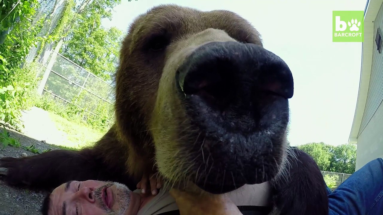 Our Big Bear Family: BEAST BUDDIES