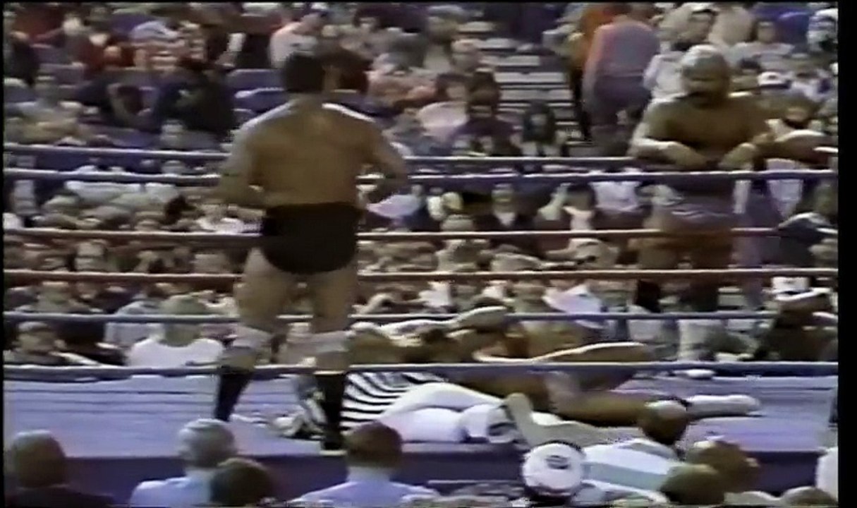 Windham and Rotunda vs The Fabulous Ones part 2