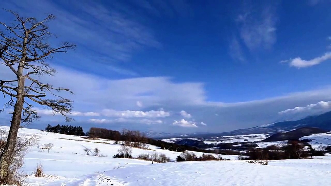 Amazing nature of the world you are not seen in life probebly