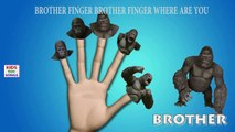 King Kong Cartoon Finger Family Nursery Rhyme | Animal Finger Family | King kong Daddy Finger Songs