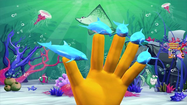 Water Animals Finger Family | Animals Finger Family Rhymes | Dolphin Vs Crocodile | Nursery Rhymes