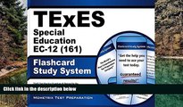 Buy NOW TExES Exam Secrets Test Prep Team TExES Special Education EC-12 (161) Flashcard Study