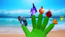 Sea Animals Finger Family | Fish Vs Shark | Water Animals Finger Family | Nursery Rhymes For Kids