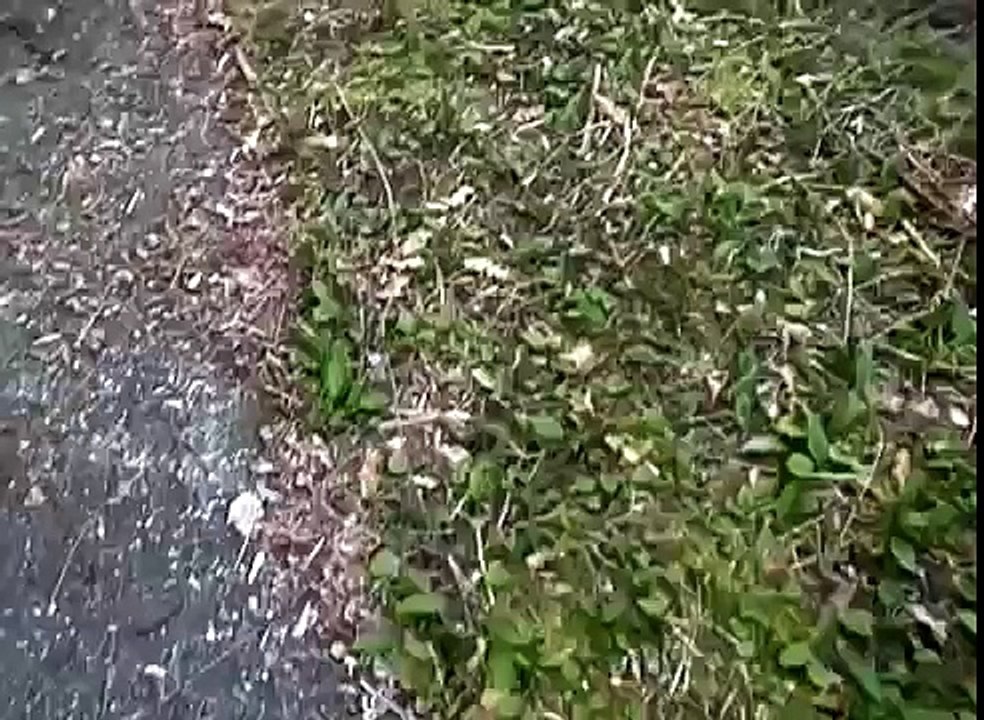 UFO escorted by Air Force