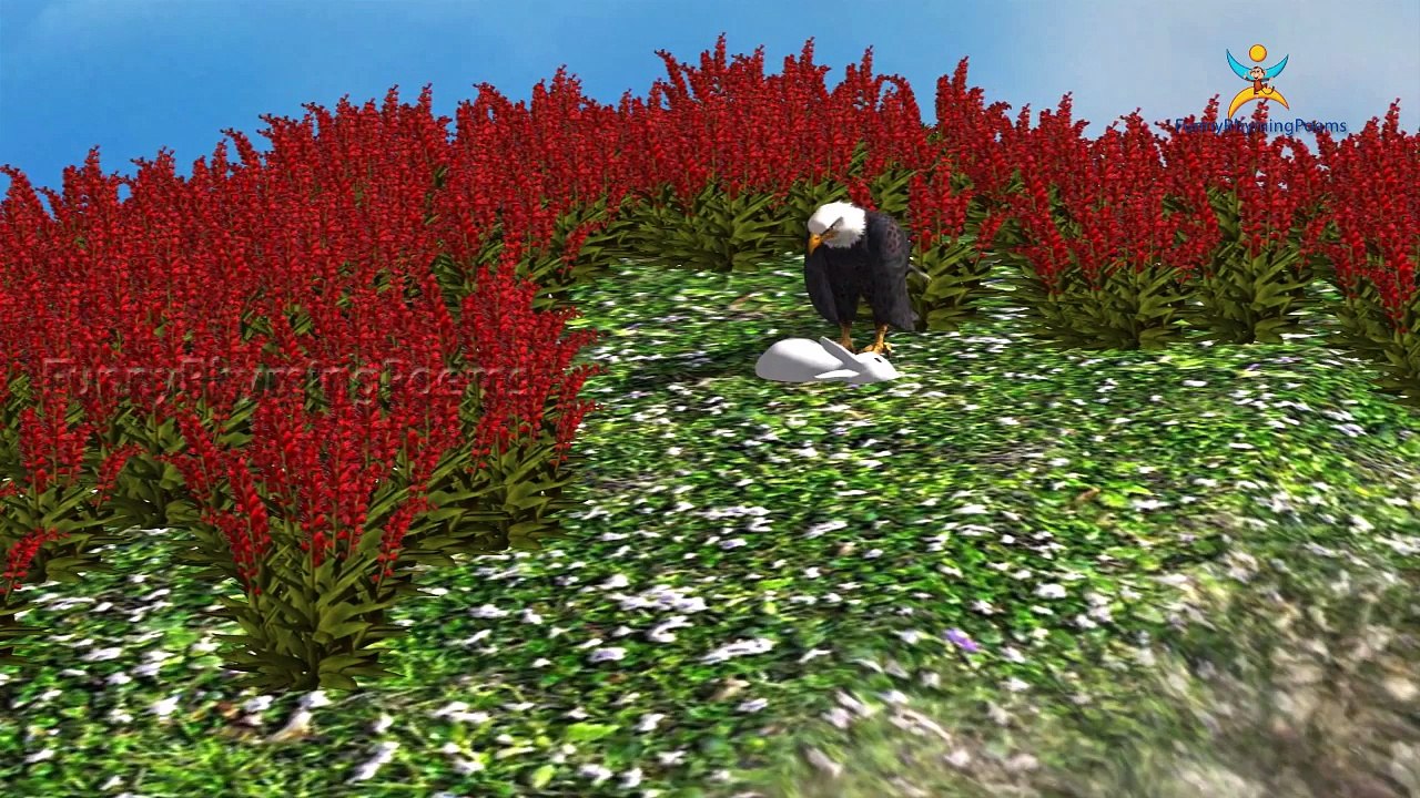 Eagle Finger family 3d rhyme | Animated Nursery Children Finger Family song