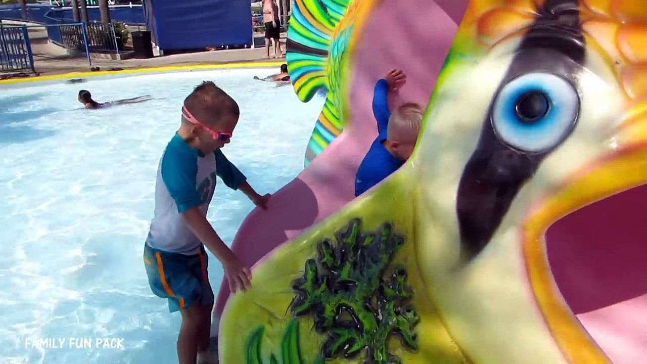 Splash Kingdom Water Park with Family Fun Pack Vidéo Dailymotion