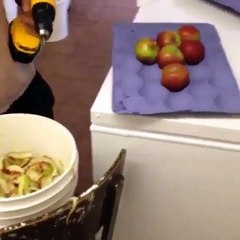Funny Videos (@funny_videos) • Instagram photos and videos_11