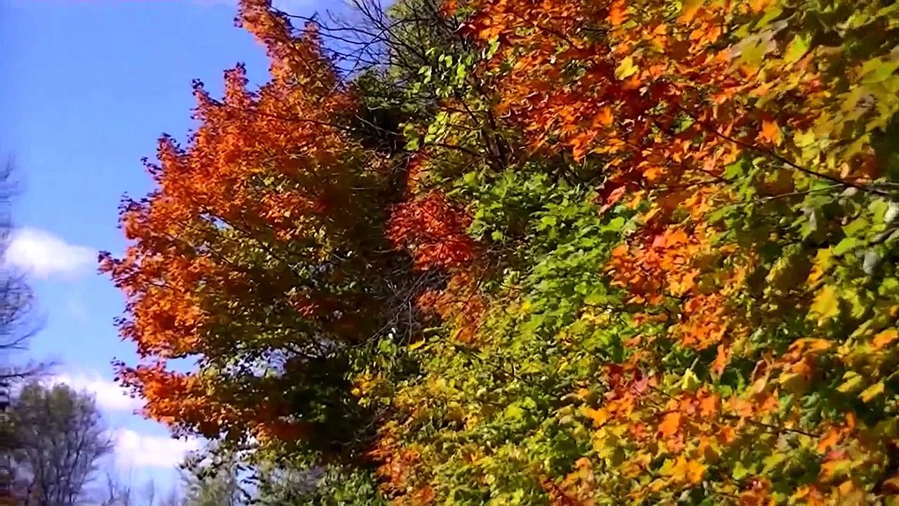 video photography