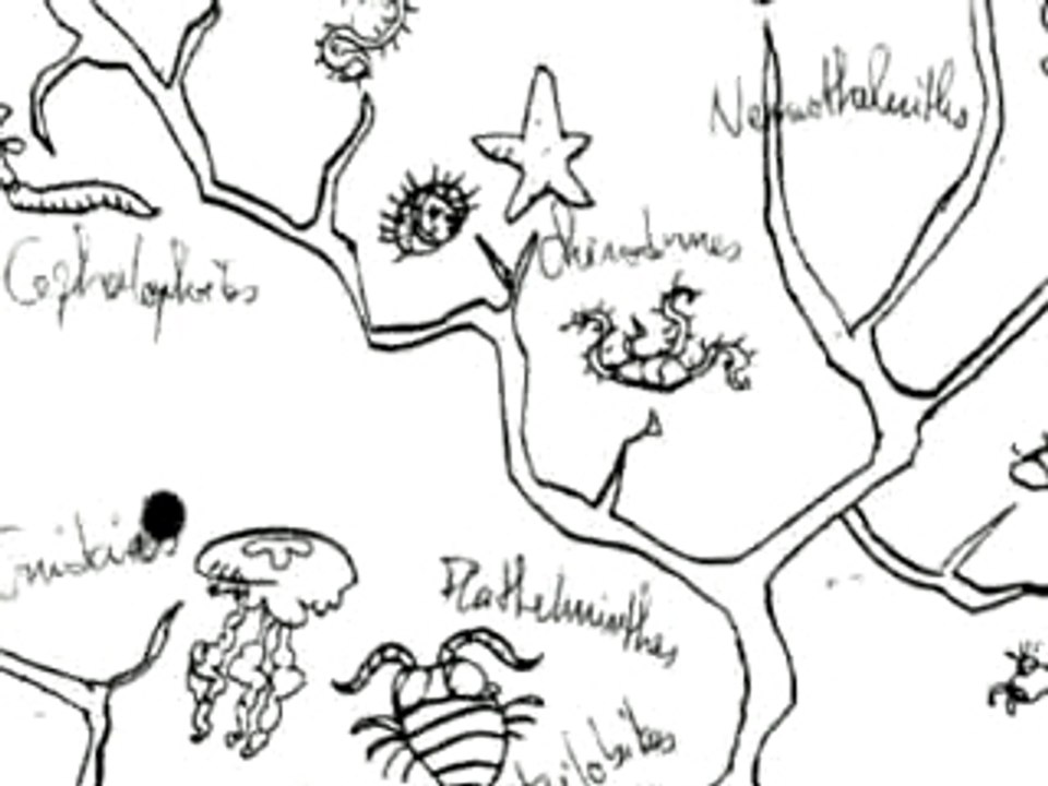 La Révolution Des Crabes