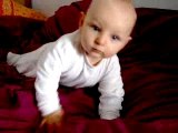 Evan 9 mois ... à quatre pattes!