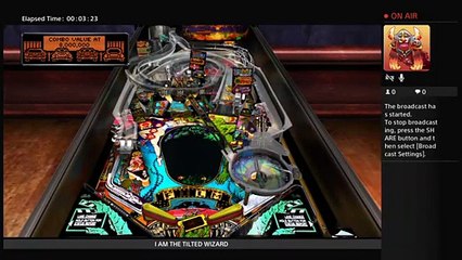 PINBALL ARCADE -Black Lagoon- TILTED_DAN (22)