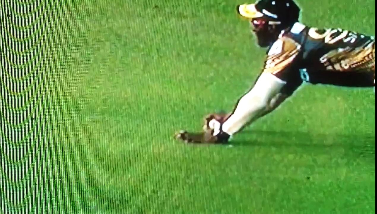 Best Catch in  BPL 2016