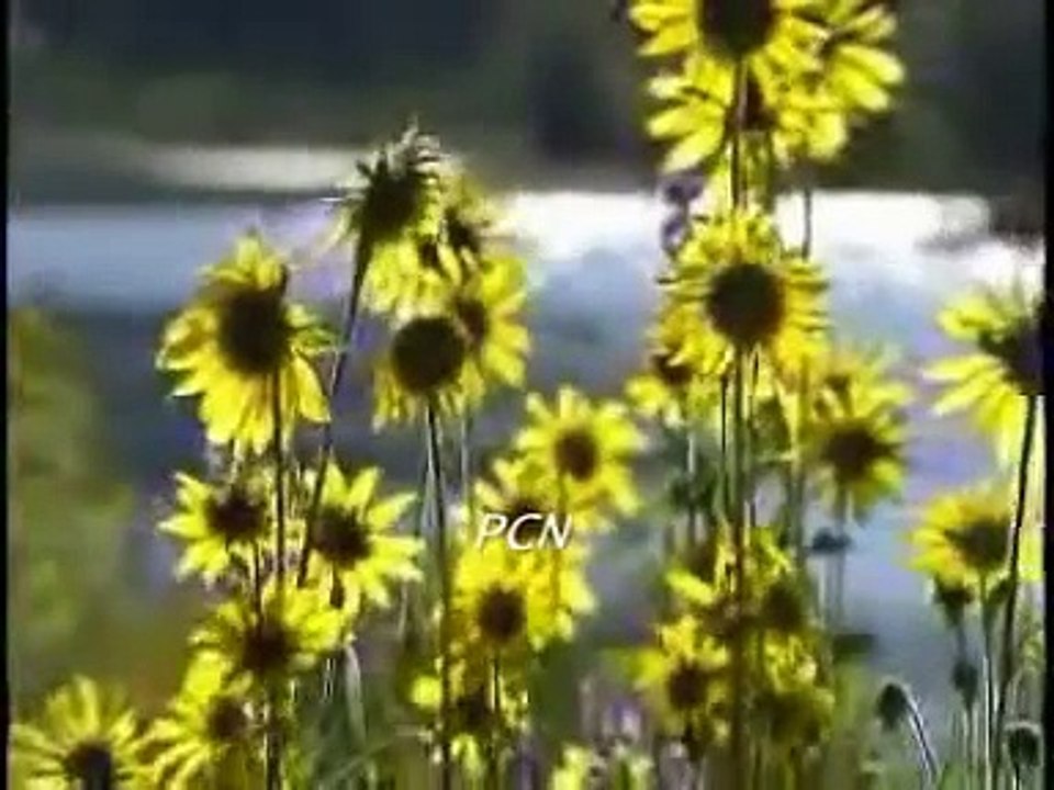 Main yesu ke noor mein Masihi Geet