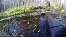 Танки грязи не боятся. Нива увязла в болоте.