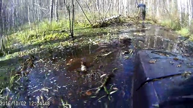 Танки грязи не боятся. Нива увязла в болоте.