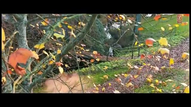 1920 Evil Returns - Uska Hi Banana - Full Video Song - Arijit Singh, Aftab Shivdasani, Tia Bajpai - Copy