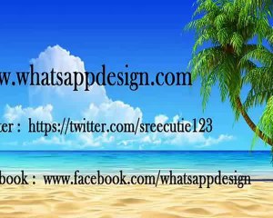 Funny Videos 2015 Funny Fails Funny Pranks Funny whatsapp Videos Compilation