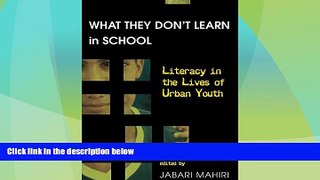 Best Price What They Don t Learn in School: Literacy in the Lives of Urban Youth (New Literacies