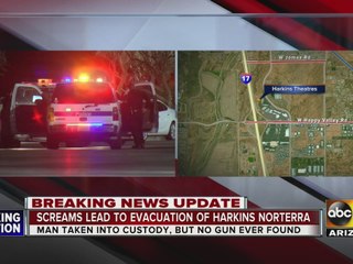 Man arrested after saying armed person was at Harkins Norterra 14
