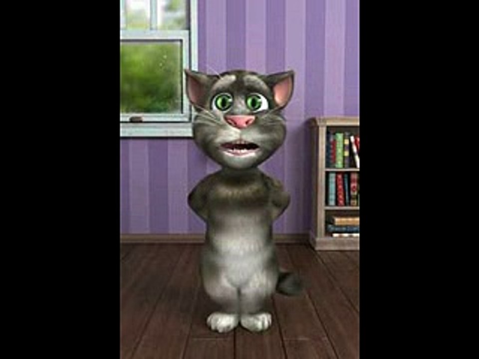 Comedy cat