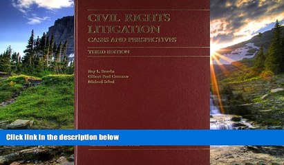 FAVORIT BOOK Civil Rights Litigation: Cases And Perspectives (Law Casebook Series) Roy L. Brooks