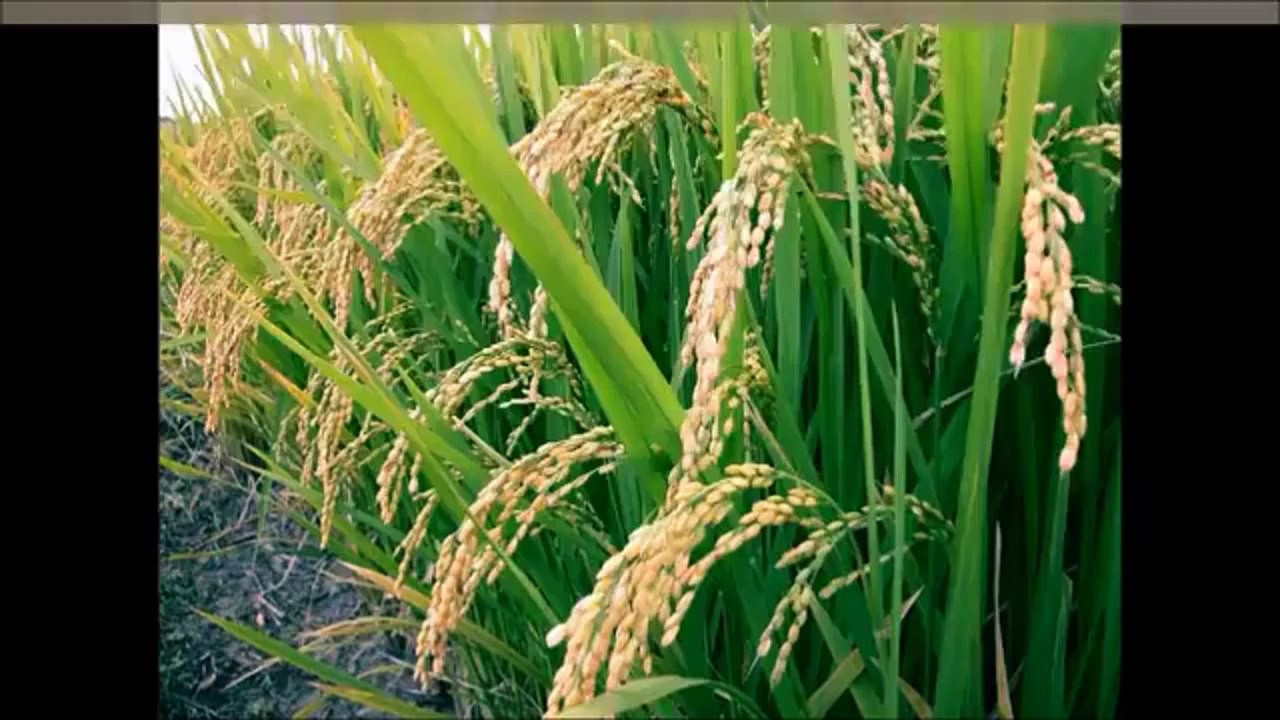 Best Places in Pakistan