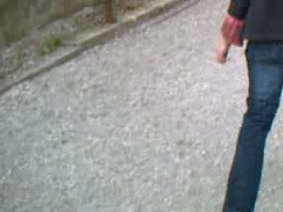Les nanimos du parc.