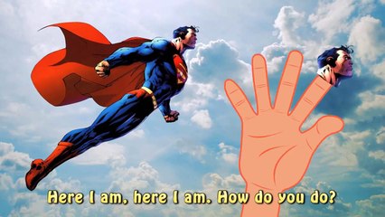 Finger Family Finger Family Superman Collection Top Super Heroes Spiderman Superman Cartoon Finger F