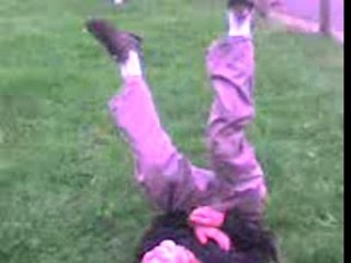 Saut