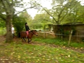 Saut Gathe sur Fauvette