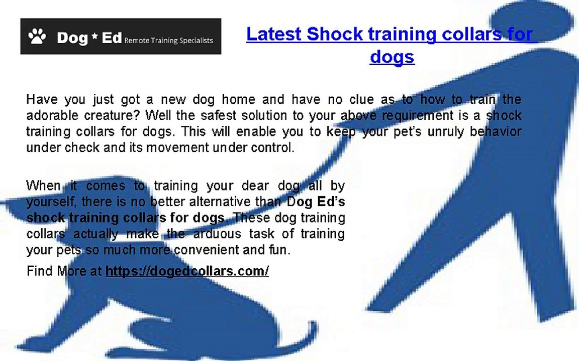 Latest shock training collars for dogs